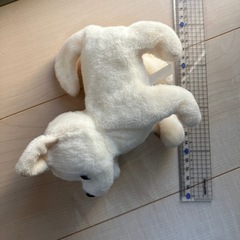 動くチワワのおもちゃの画像