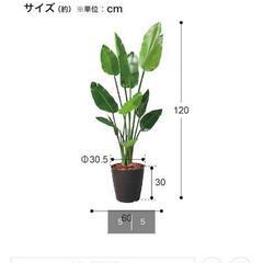 フェイクグリーンの画像
