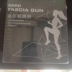 mini fascia Gusの画像