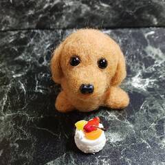 羊毛フェルトフワフワわんちゃん　赤いリボンクッション付き・ホールケーキ付きの画像