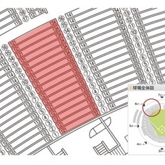 【受渡者決定】8/19 2025年8月19日(火)18時試合開始、福岡ソフトバンクホークス対埼玉西武ライオンズ戦 3塁側外野スタンド2枚の画像