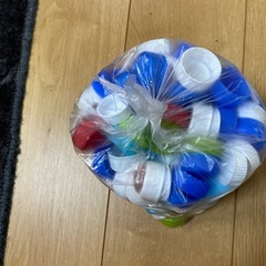 ペットボトル、キャップ
の画像