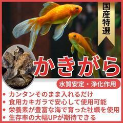カキガラの画像