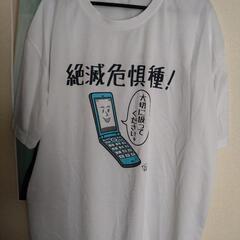 美品Ｔシャツ、チェニックの画像
