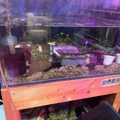 60.4545水槽と水槽台の画像