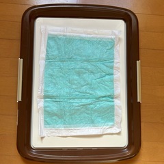 レギュラーサイズトイレシート＆トイレの画像