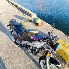 TZR125 3TYの画像