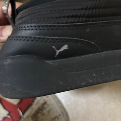 PUMAスリッポンになるスニーカーの画像