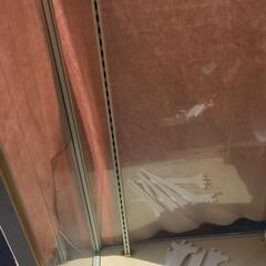 ガラスケース 数台ありますの画像