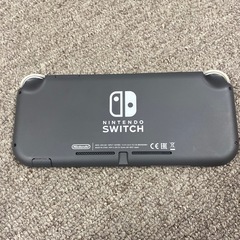 Switch light グレー　ジャンク品の画像