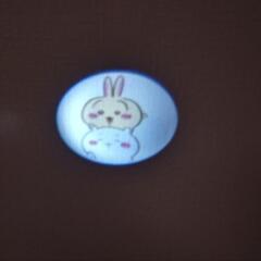 ハチワレ　投影　カメラ型ライトの画像