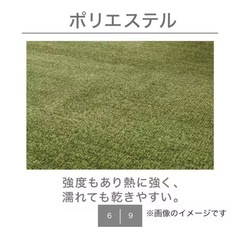 【ニトリ】カーペット200×280の画像