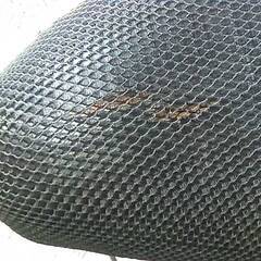YAMAHA シグナスX-2 白 エンジン始動確認 自賠責保険で乗れます 半額配送キャンペーン 限定 現状渡し諸経費￥0- 横浜 P-Yardの画像