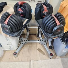可変式ダンベルの画像
