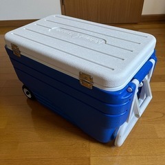 47L クーラーボックスの画像