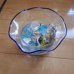金魚鉢ガラスタイプの画像