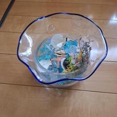 金魚鉢ガラスタイプの画像
