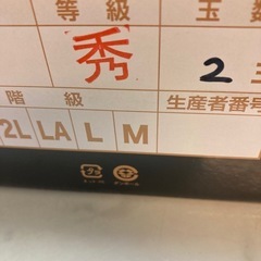 金武町産秀マンゴー2玉1キロ　贈答用の画像
