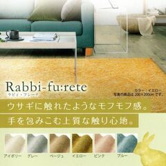 【美品】スミノエラグ　ラビィ・フレーテ　グレー　200X140cmの画像