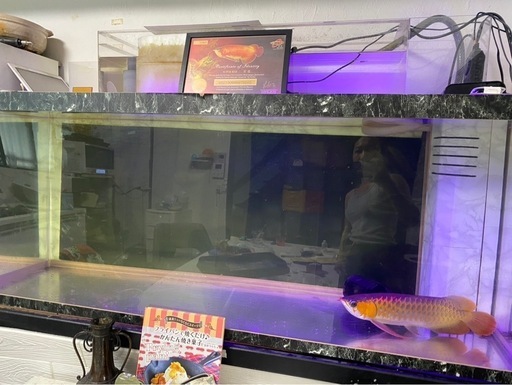 アクリル1500of水槽