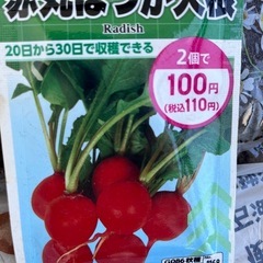 植木鉢などの画像