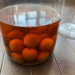 4Lガラス保存容器　梅酒付きの画像