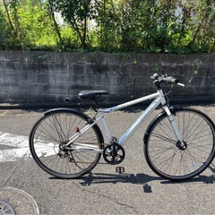 EVANS クロスバイク　700c 　430mm の画像