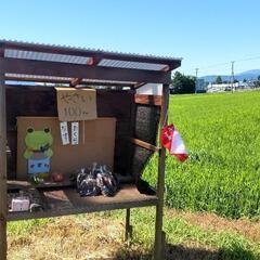 無人販売〜本日終了！の画像