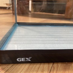 GEX60センチ曲り水槽🐠の画像