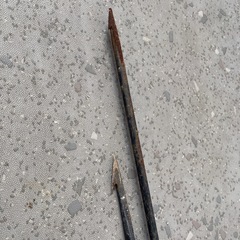 【受け渡し予定者あり　28日まで】銛　魚付き　釣の画像