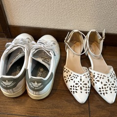 靴800円均一の画像