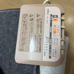 【受渡者決定】ホットカーペットの画像