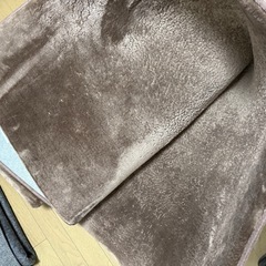【受渡者決定】ホットカーペットの画像