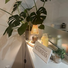 キャンドル、観葉植物などの画像
