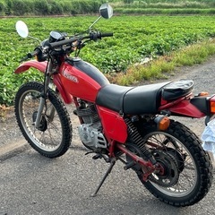 レア車！ホンダXL250S後期ノーマル昭和55年前後ヴィンテージレトロ当時物の画像