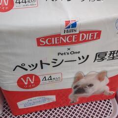 ペット用トイレトレイ他の画像