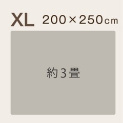 ラメシャギーラグの画像