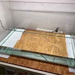 60cm
水槽 の画像