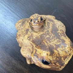 カエルさんの置物の画像