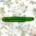 ランキングキーワードに紐づく投稿画像-多肉植物
