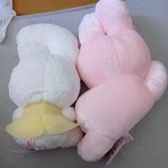 ぬいぐるみ　エスターバーニーセットの画像