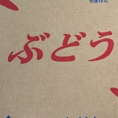 デラウェア　ぶどう　山形産　一箱16房の画像