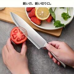 サントクナイフ フルーツ - シルバー、全ステンレス製、食洗機対応 - 野菜や果物の切り分けに最適　転売OK　　倒産品　まとめ売り　ネット商材　アマゾン引き上げ商品　メルカリ　副業の画像