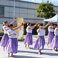 ダンスステージ出演者募集！　ー2025.11.22　安城市ホコ天きーぼー市 ダンスステージ！ー - 地域/お祭り