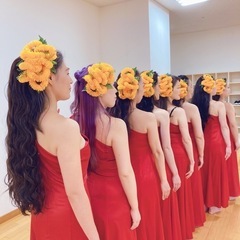 フラダンスしてみたいの画像