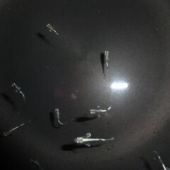 (決まりました)めだか（２１匹＋α）の画像