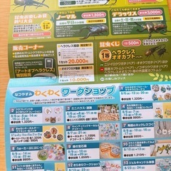 昆虫展　割引券の画像