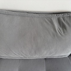 イオンで今年6月に購入したソファの画像