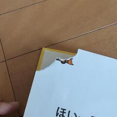 男の子向け絵本の画像