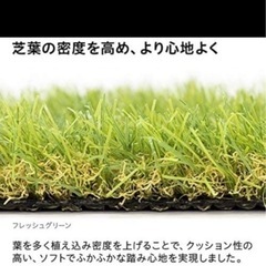 モダンデコ　リアル人工芝 芝丈20mmの画像